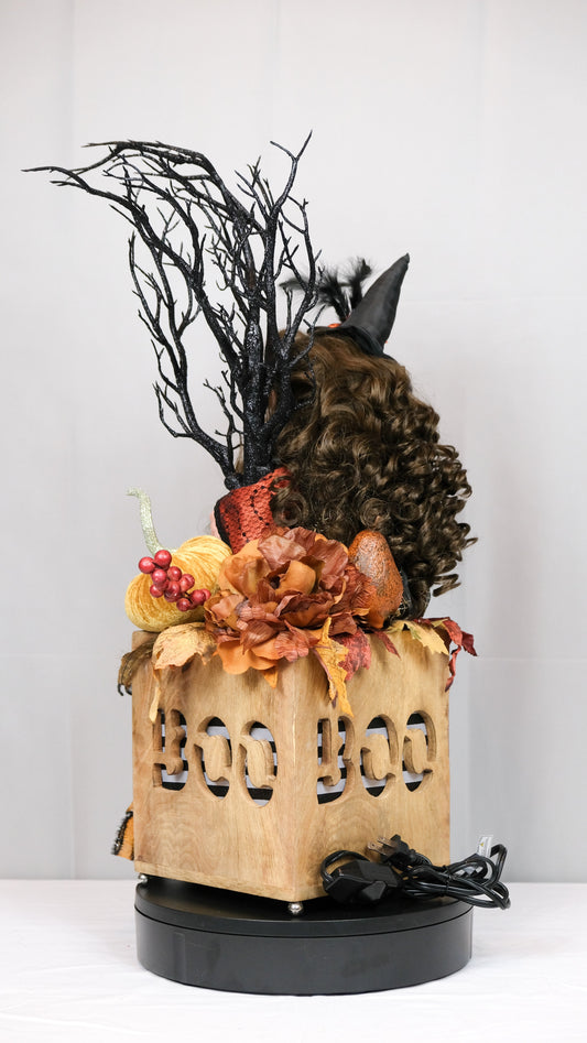 Witch Doll Light Up Boo Box
